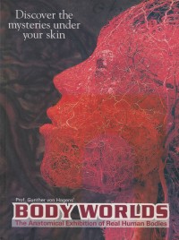Image of Discover the mysteries under your skin (Body Worlds)